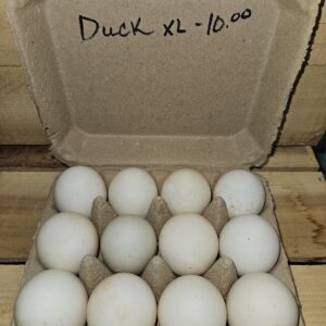 Duck Eggs