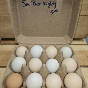 Small but Mighty Chicken Eggs