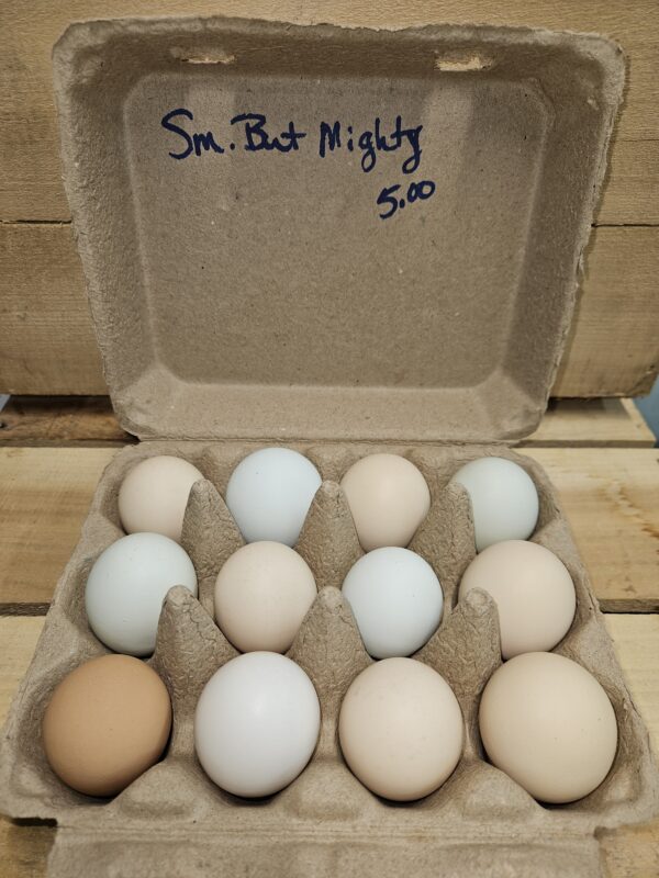 Small but Mighty Chicken Eggs