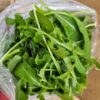 2026/05/3548-scaled.jpg Arugula