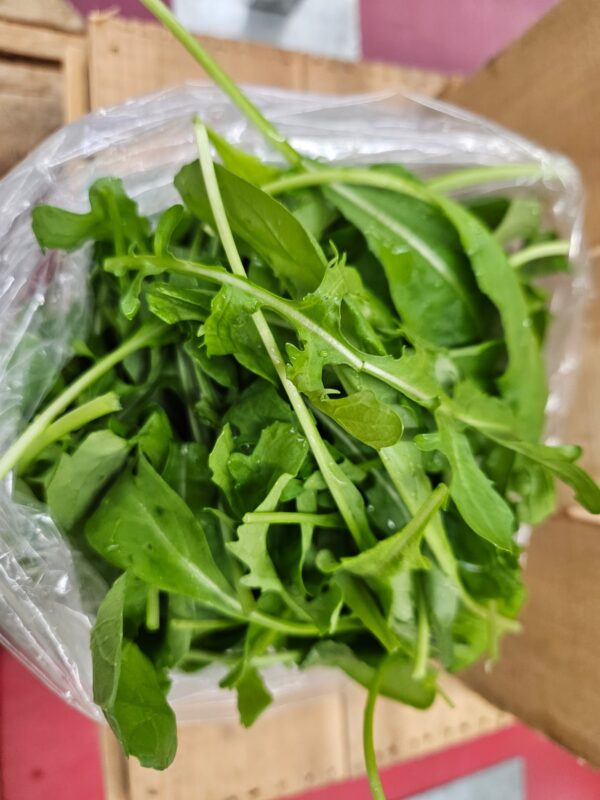 2026/05/3548-scaled.jpg Arugula