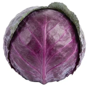 00000000004554_C1C1 Top view of whole red cabbage