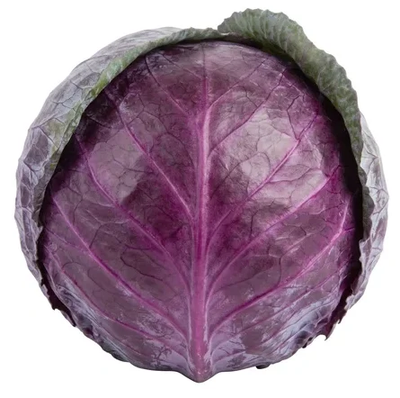 Top view of whole red cabbage