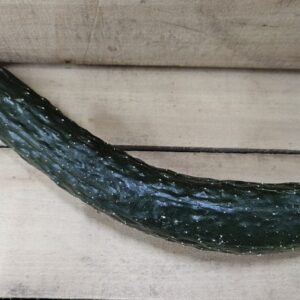 Curved dark green cucumber on wooden crate