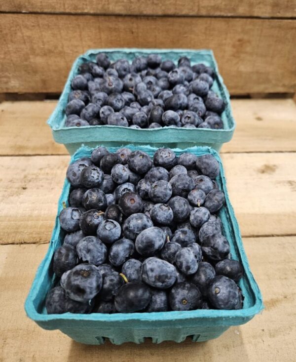 Blueberries
