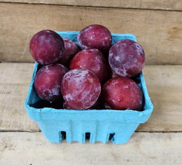 20260626_155814 Blue basket of ripe red plums