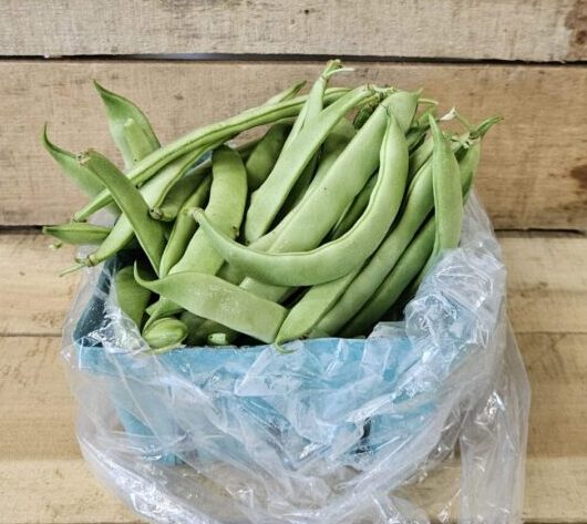 20260703_092046 Small crate of fresh green beans