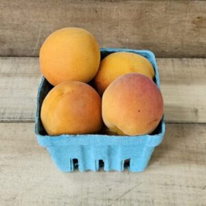 Apricots