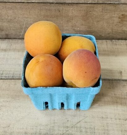 Apricots