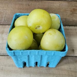 Shiro Plums