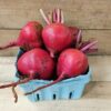 Candy Cane Beets
