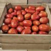 Roma Tomatoes