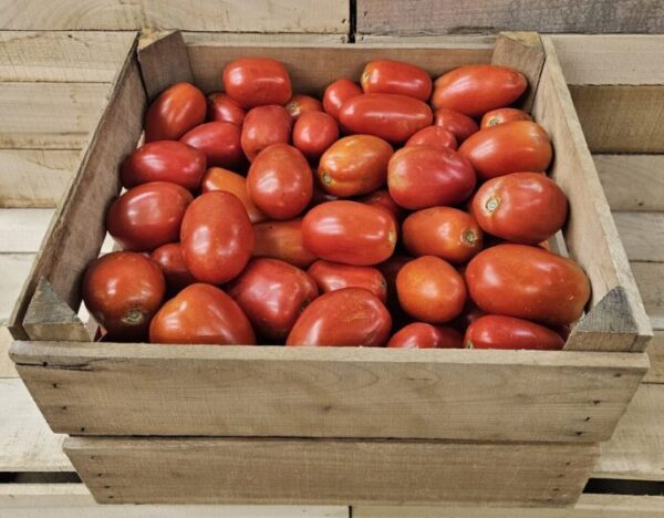 Roma Tomatoes