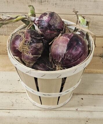 Purple Onions