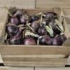 Purple Onions
