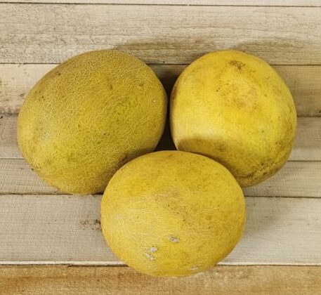 Honeydew