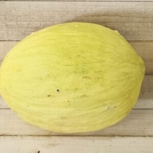 20260803_095516 Canary Melon