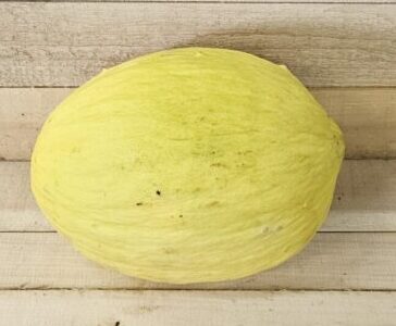Canary Melon