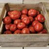 Tomatoes