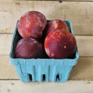Vanier Plum