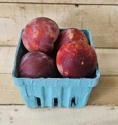 Vanier Plum