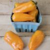 Lunch Box Peppers