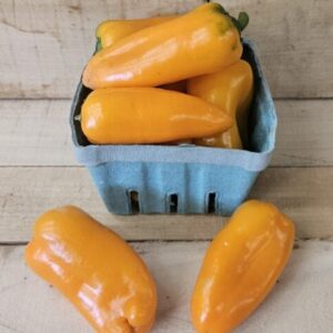 Lunch Box Peppers