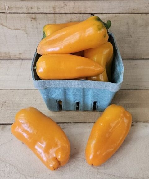 Lunch Box Peppers