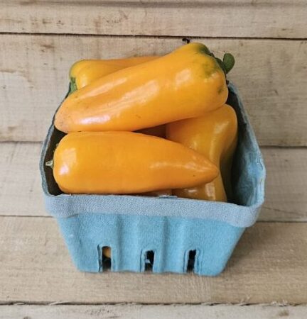 Lunch Box Peppers