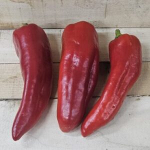 Sweet Italian Peppers