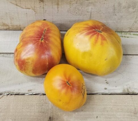 Heirloom Tomatoes