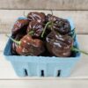 Habanero Peppers