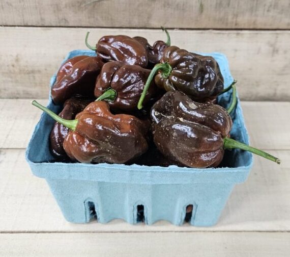 Habanero Peppers