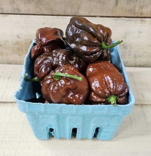 Habanero Peppers