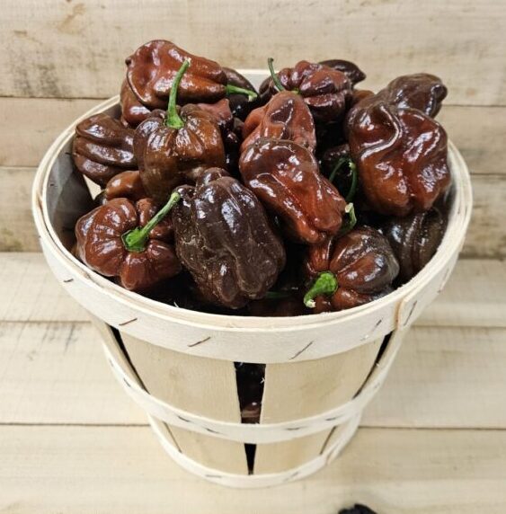 Habanero Peppers