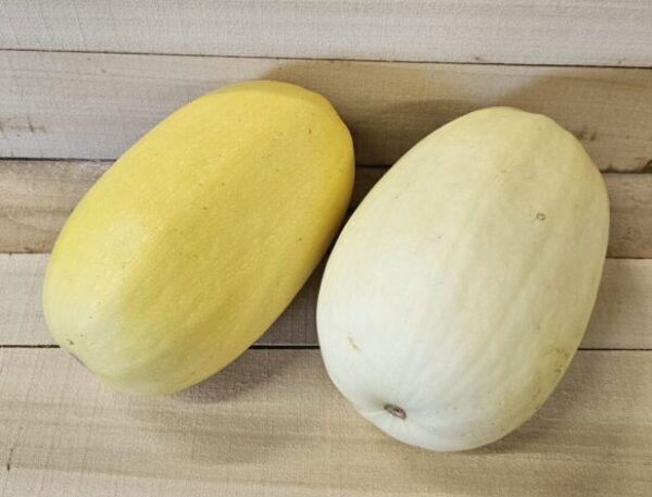 Fall Squash
