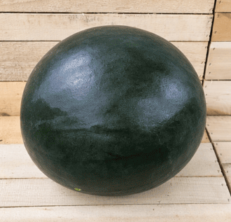 Red Seedless Watermelons