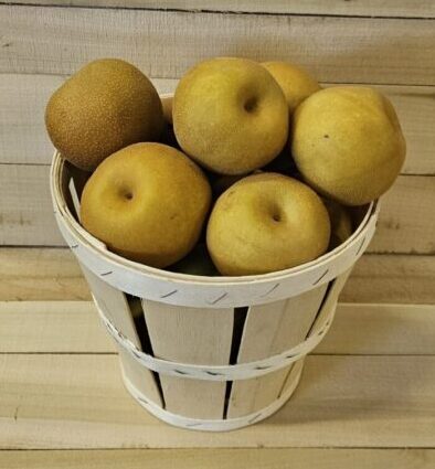 20260907_094207 Asian Pears