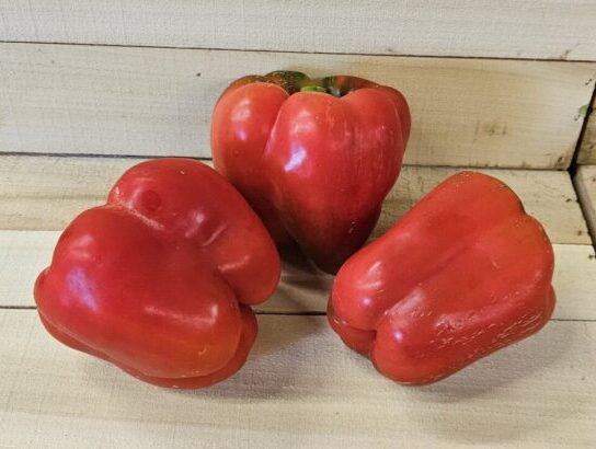 Sweet Bell Peppers