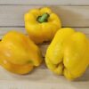 Sweet Bell Peppers