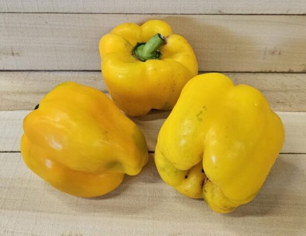 Sweet Bell Peppers
