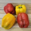 Sweet Bell Peppers