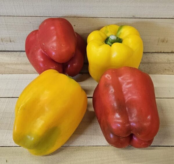 Sweet Bell Peppers