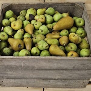 Wooden crate filled with green pears Wooden crate filled with green pears