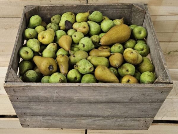 Wooden crate filled with green pears