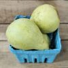 Blue container with ripe green pears.
