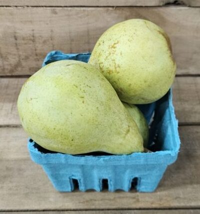 Blue container with ripe green pears.