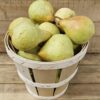 Basket brimming with fresh green pears.