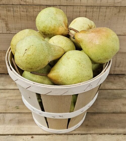 Basket brimming with fresh green pears.