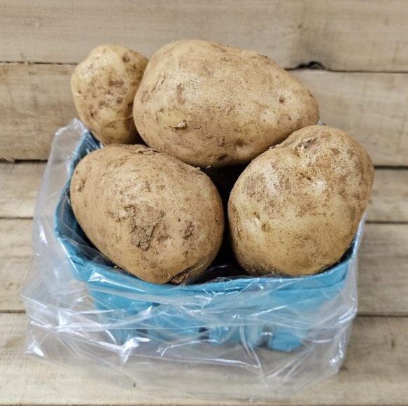 Basket of fresh, unwashed potatoes.